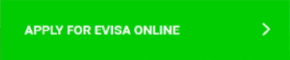 apply for e-visa